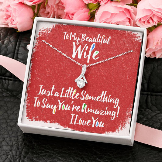 Birthday, Christmas or Anniversary gift for wife A Little Something to say you're amazing